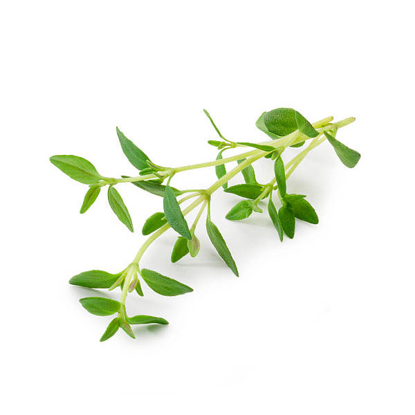 Kekik Yağı (Uçucu) | Origanum Onites | Thyme Oil