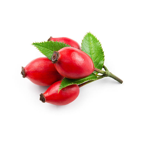 Kuşburnu Çekirdeği Tozu | Rosehip Seed Powder