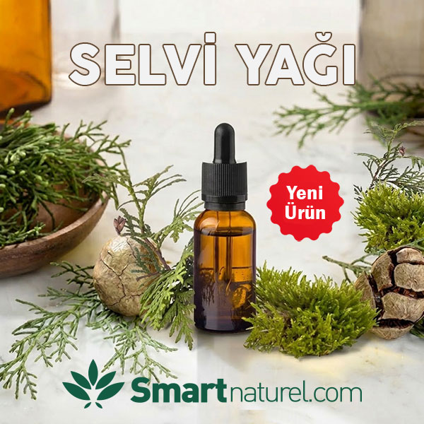 Selvi Yağı (Uçucu) | Cypressus Sempervirens Extract